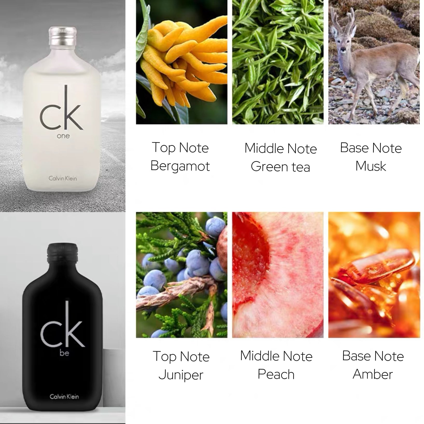 CK One Perfume